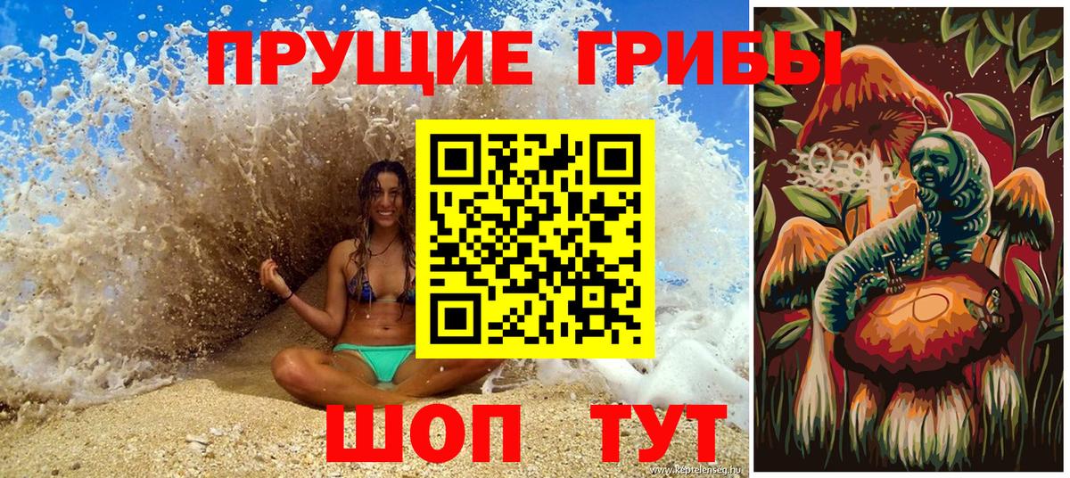 Галлюциногенные грибы Psilocybine cubensis Югорск