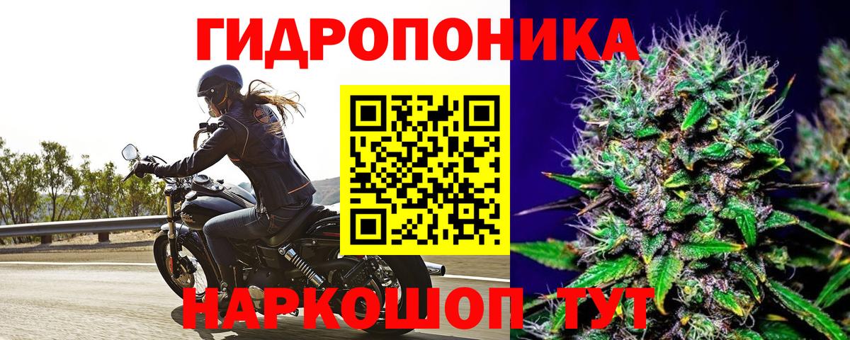 Бошки марихуана гибрид Югорск